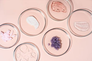 Top 5 Hero Ingredients in Our Products & Why Your Skin Will Love Them