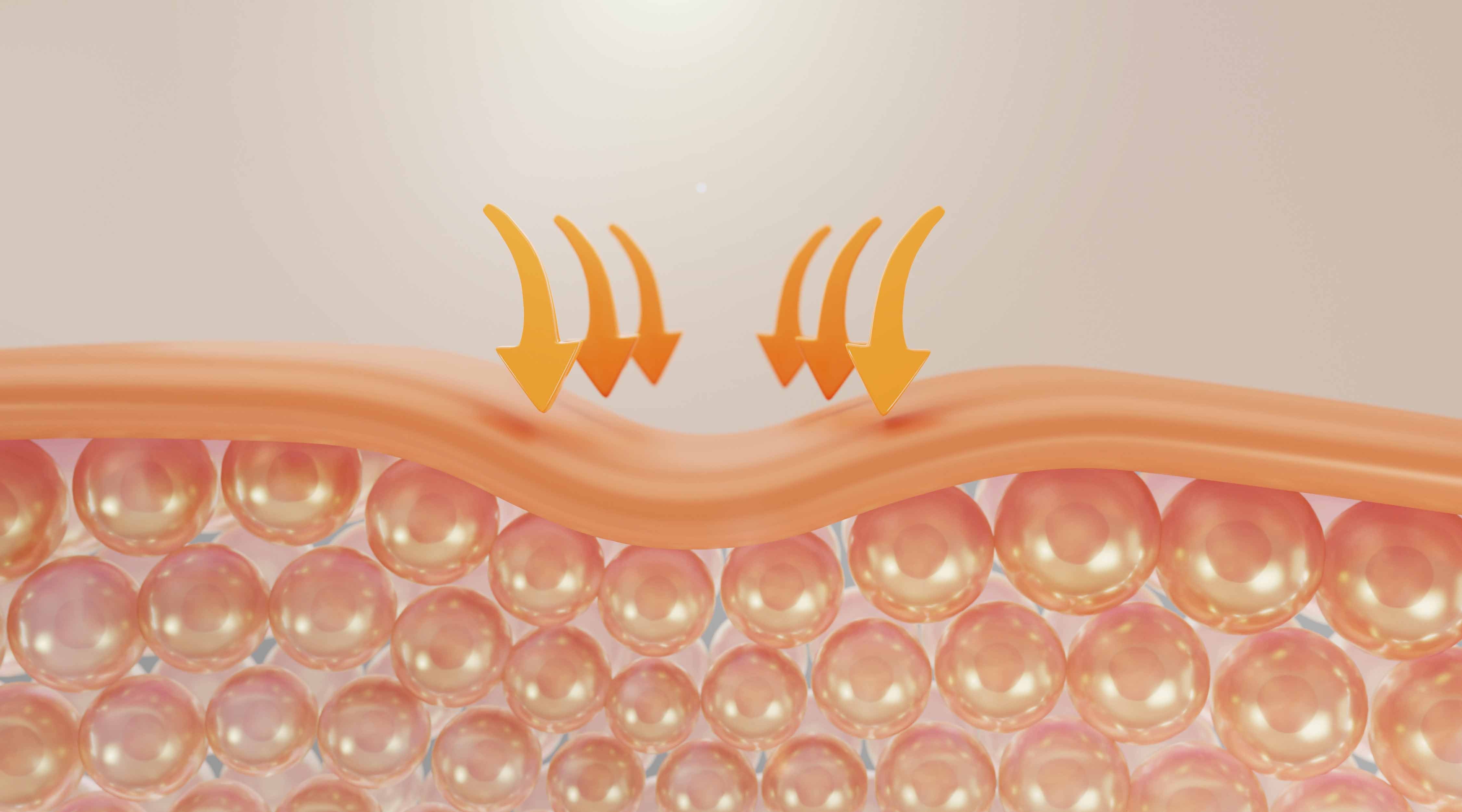 Barrier Repair - The Biggest Skincare Trend Right Now