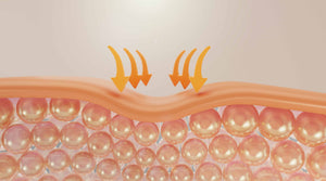 Barrier Repair - The Biggest Skincare Trend Right Now